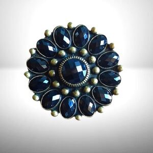 Black Crystal Brooch AND Necklace Enhancer by Premier Designs